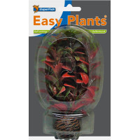 Easy Plants Low NR7 Easy Plants Low NR7